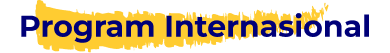 Program Internasional